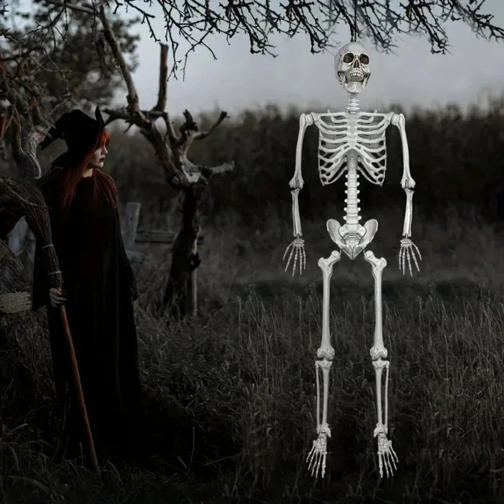Skeleton Decoration Life-Size Poseable Plastic figure