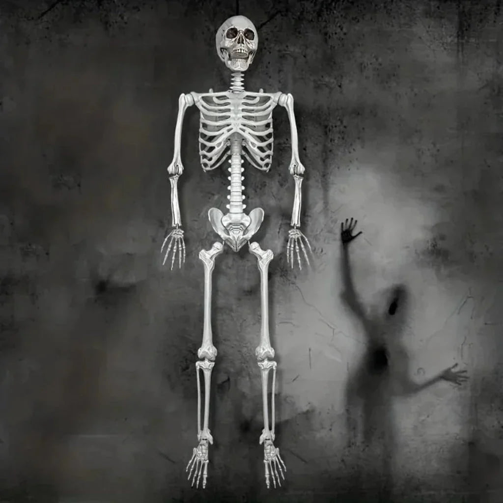 Skeleton Decoration Life-Size Poseable Plastic figure