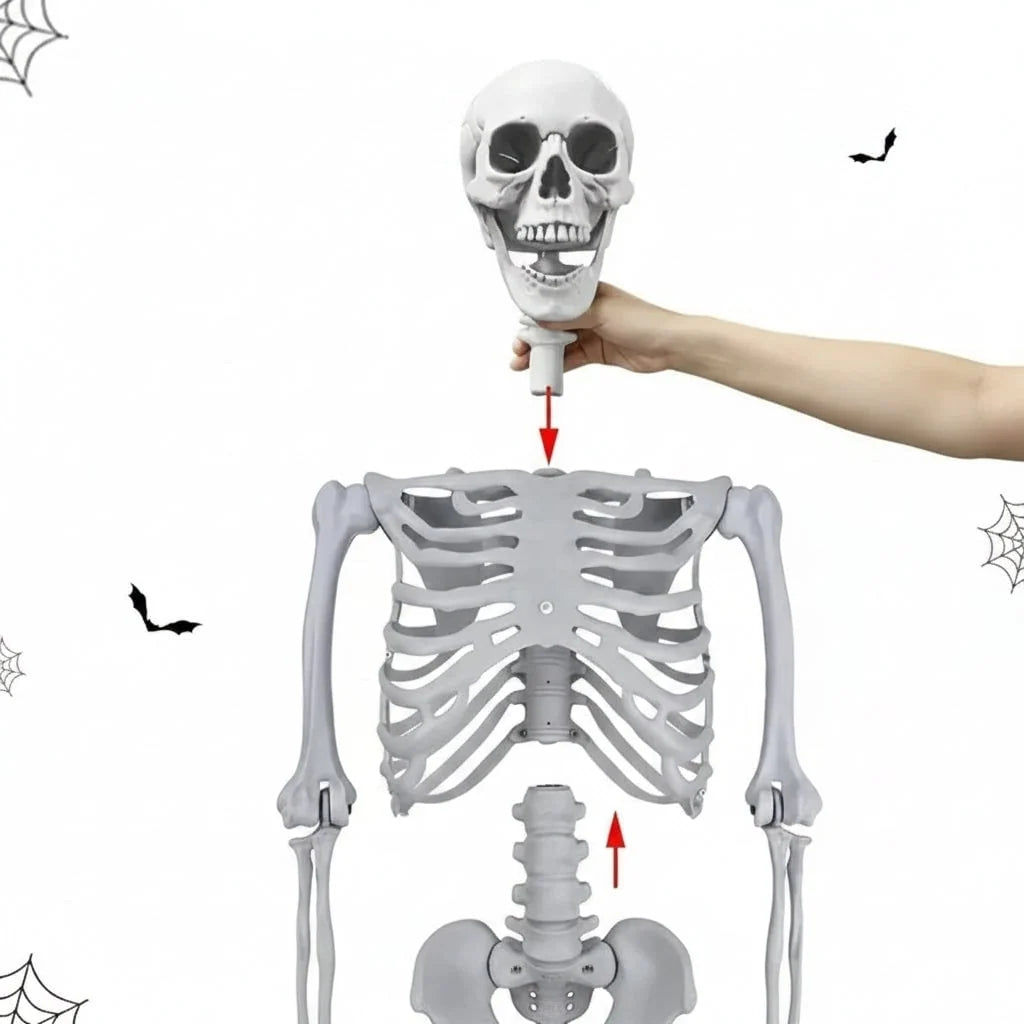 Skeleton Decoration Life-Size Poseable Plastic figure