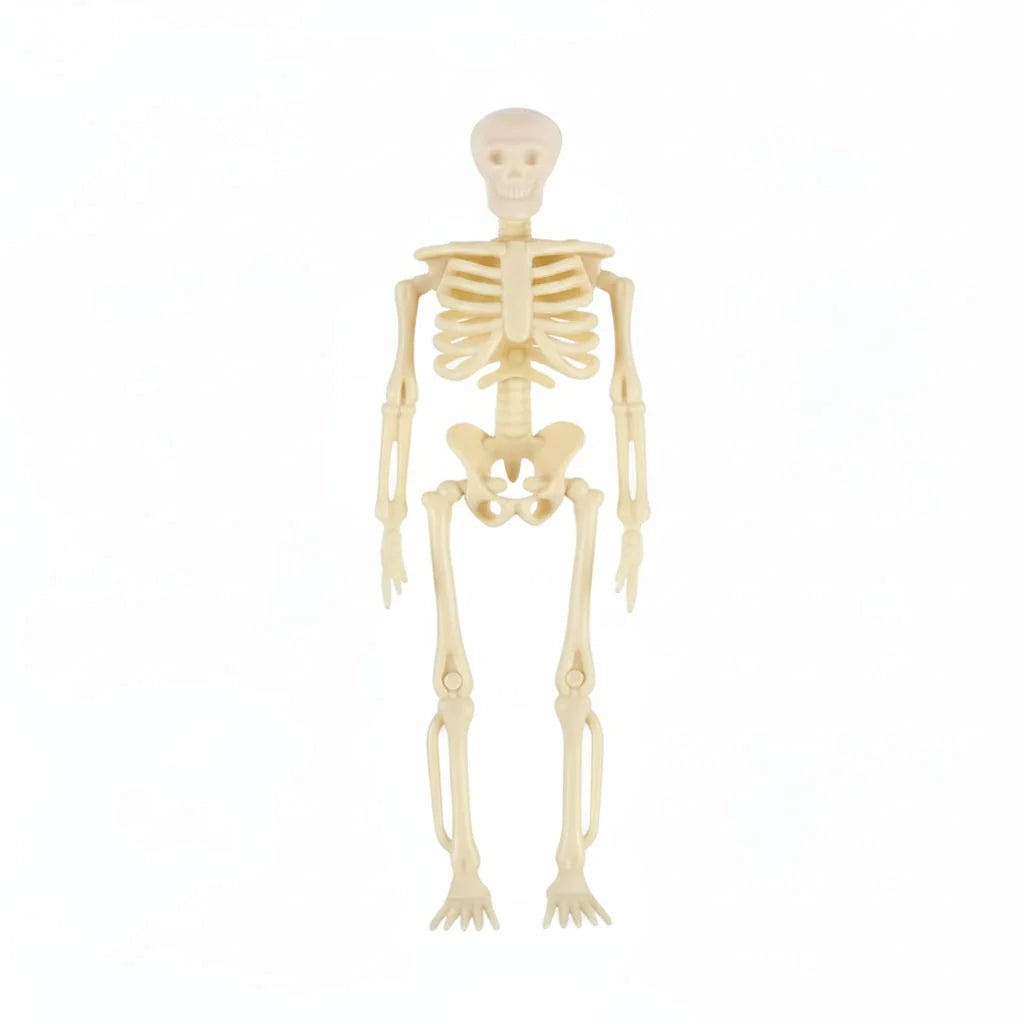 Skeleton Figurines Poseable Plastic With Jute Twine