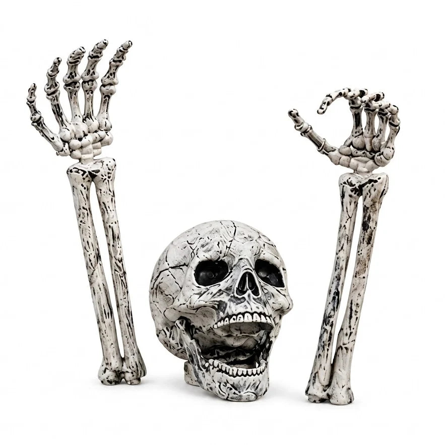 Skeleton Yard Decor 3-Piece Skull & Arm Stakes