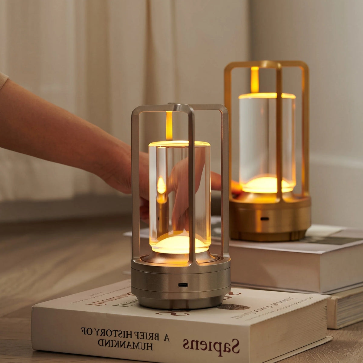 Table Lamp Cordless Rechargeable Touch Control Cage Design