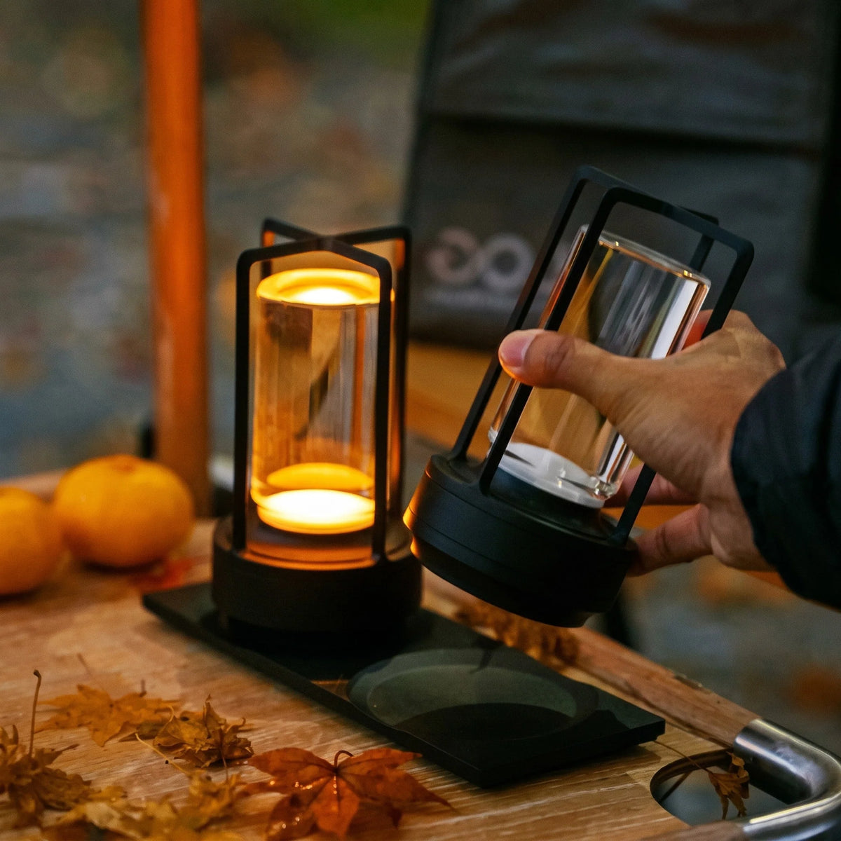 Table Lamp Cordless Rechargeable Touch Control Cage Design