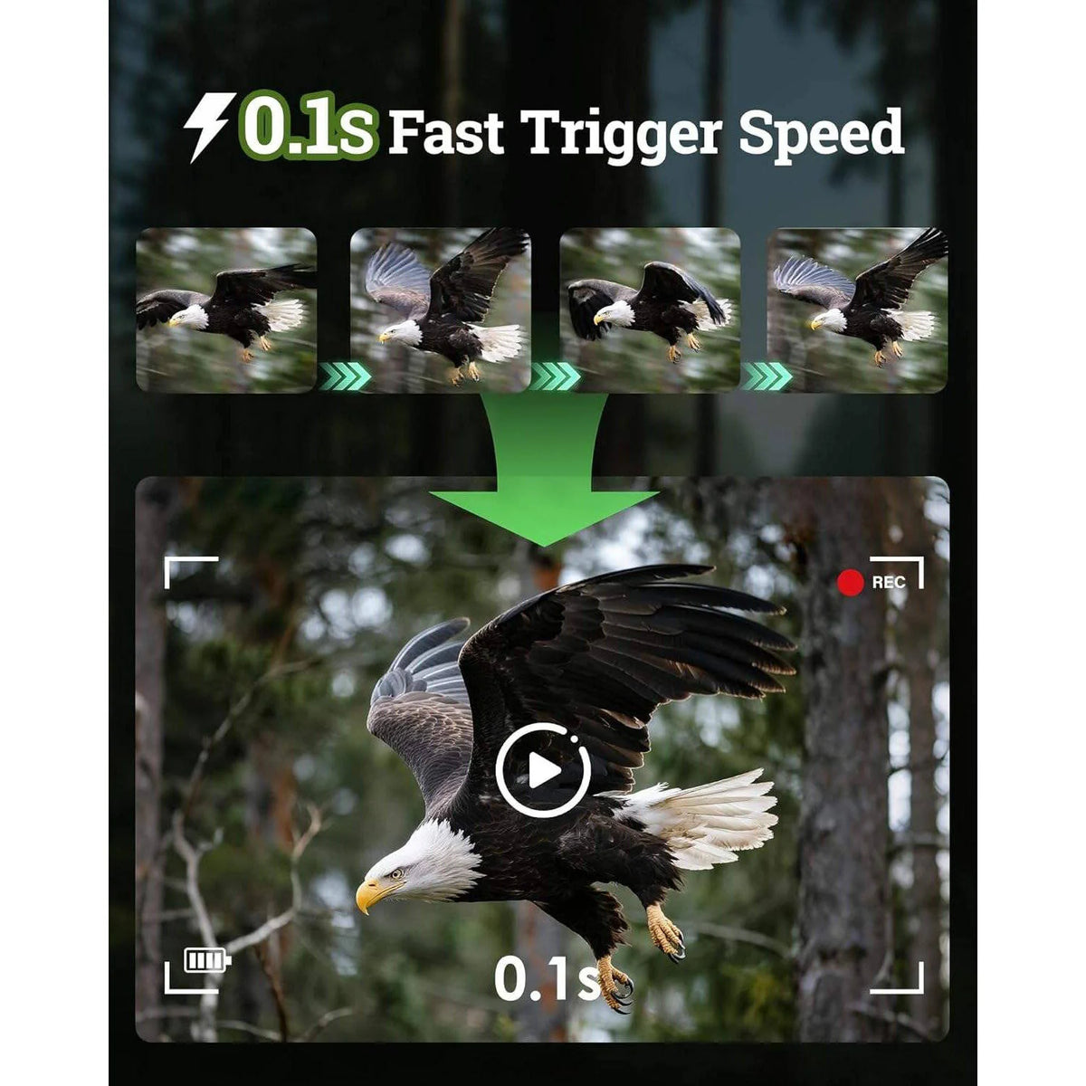 Trail Camera 4K Solar-Powered Night Vision