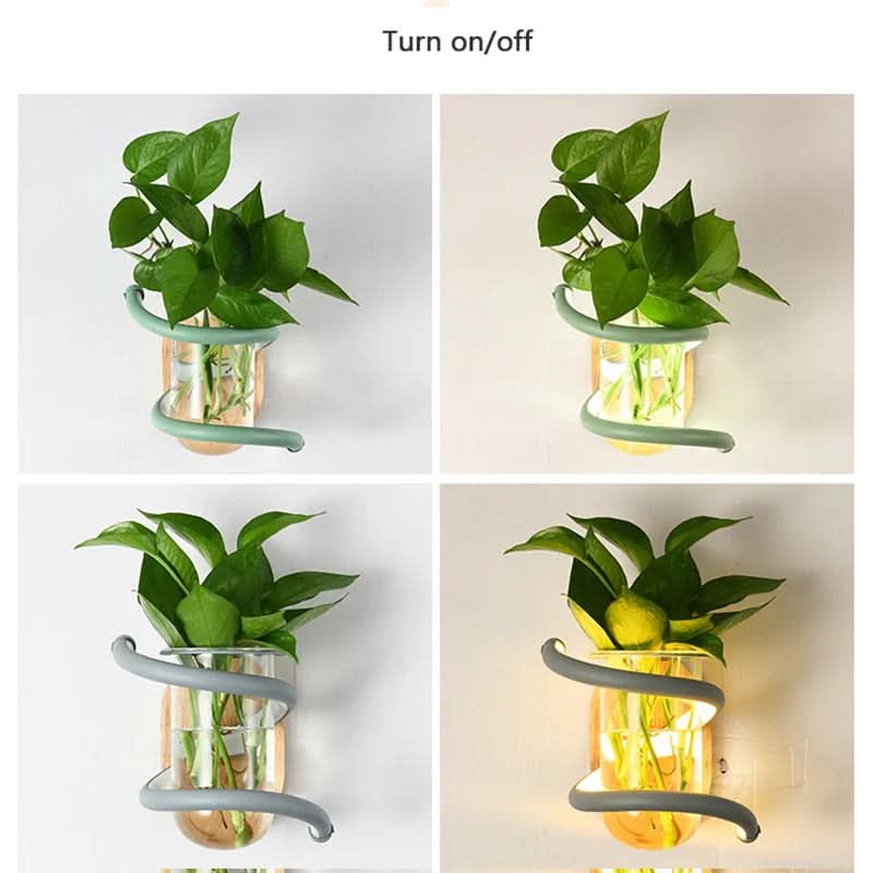 Wall Light Solid Wood Built-In LED Glass Vase Holder