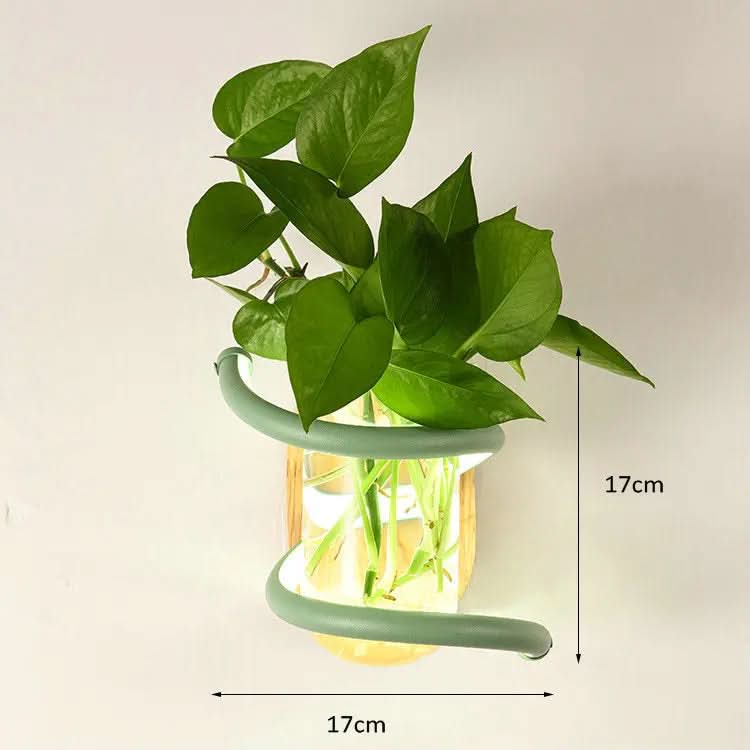 Wall Light Solid Wood Built-In LED Glass Vase Holder