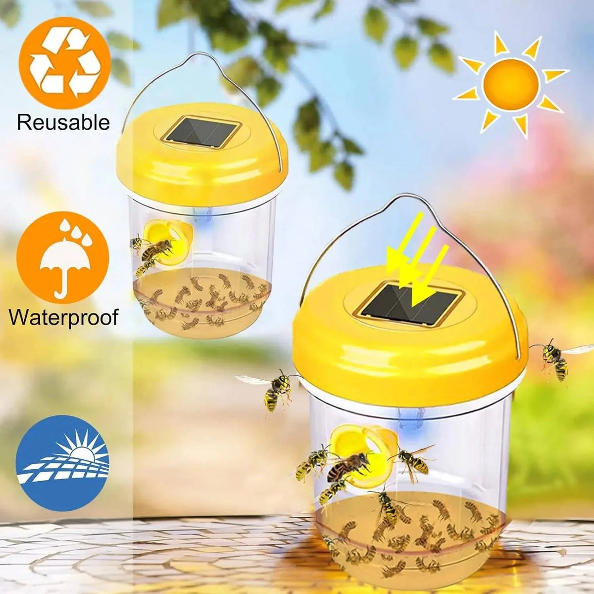Wasp and Bee Trap Solar-Powered UV Set of 6