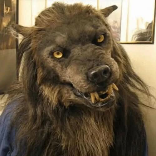 Werewolf Mask Synthetic Hair Adjustable Fit Lightweight