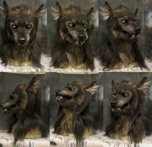 Werewolf Mask Synthetic Hair Adjustable Fit Lightweight
