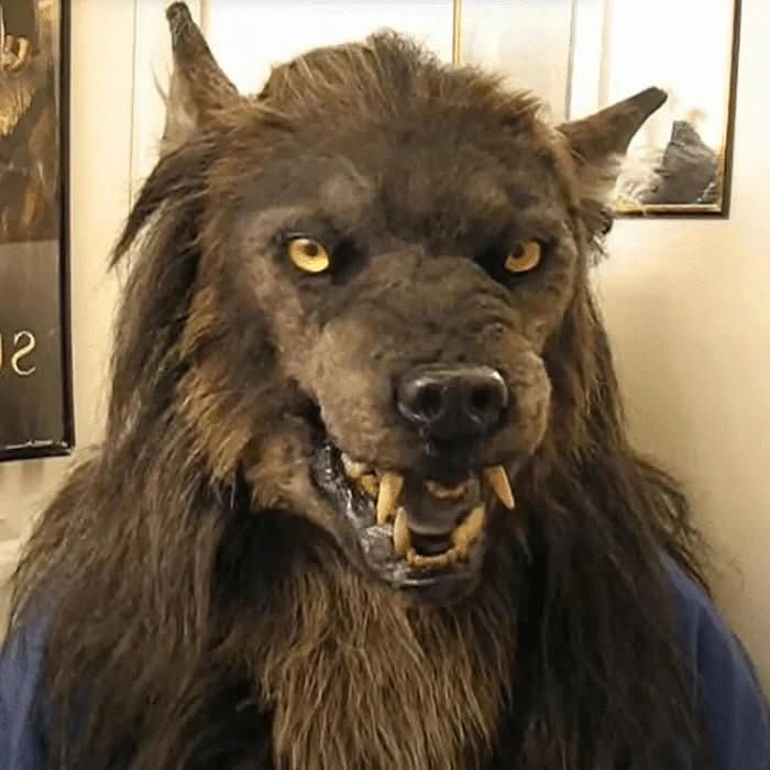 Werewolf Mask Synthetic Hair Adjustable Fit Lightweight