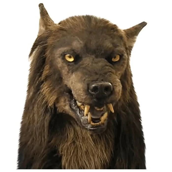 Werewolf Mask Synthetic Hair Adjustable Fit Lightweight